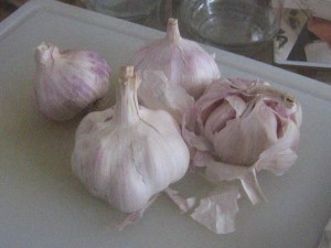 Valkosipuli kuorittavaksi 300x225 Valkosipulia chilietikassa